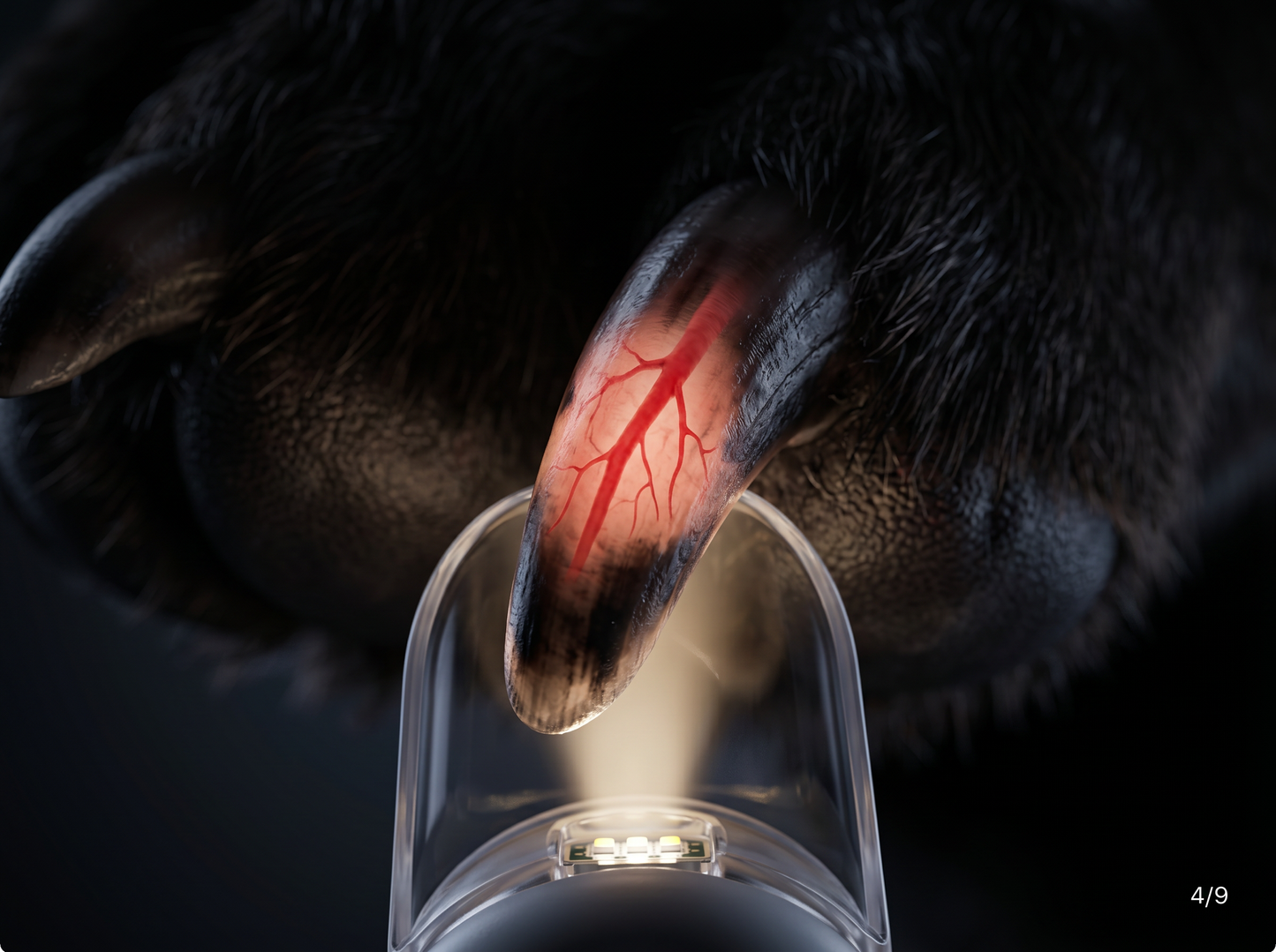 The Pawlish LED Safety Nail Clipper